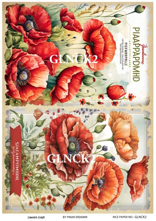 GLNCK2 1