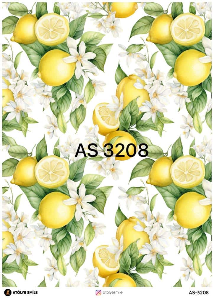 ATÖLYE SMİLE ÖZEL SERİ PİRİNÇ DEKOPAJ AS-3208 - Atölye Smile