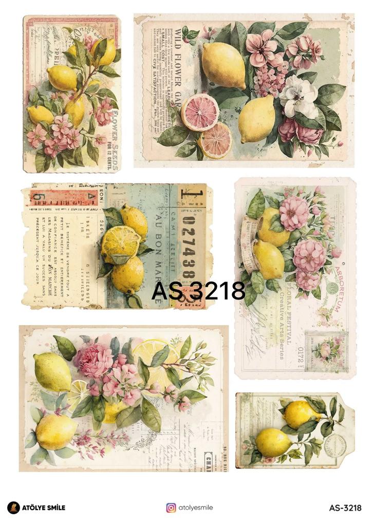 ATÖLYE SMİLE ÖZEL SERİ PİRİNÇ DEKOPAJ AS3218 Atölye Smile